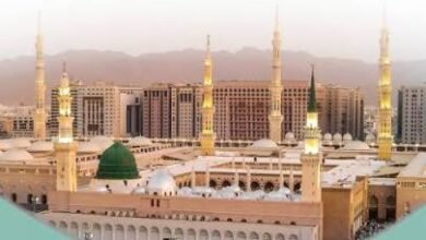 كتب الصف الخامس الابتدائي