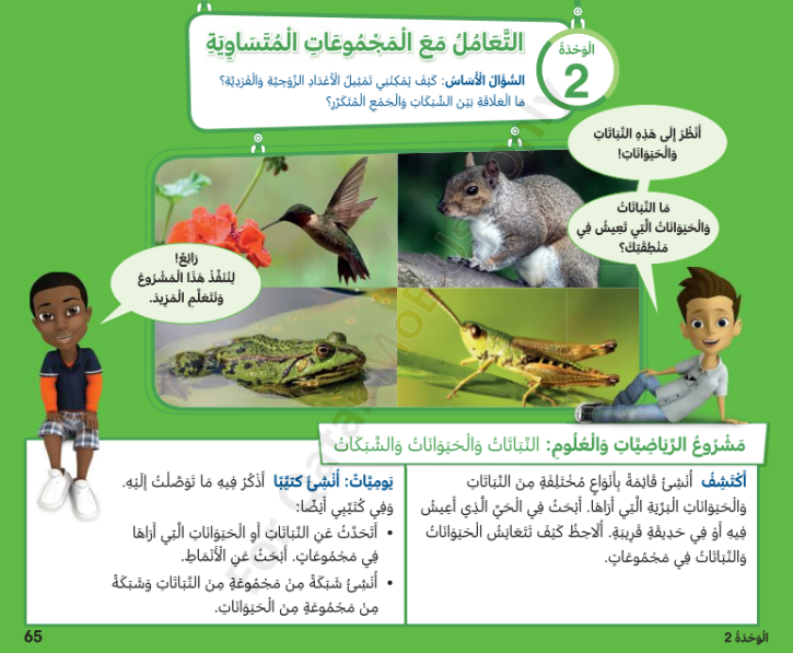 الوحدة الثانية : التعامل مع المجموعات المتساوية