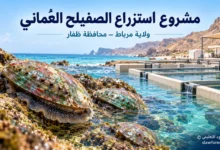 مشروع استزراع الصفيلح العُماني في ولاية مرباط بمحافظة ظفار.