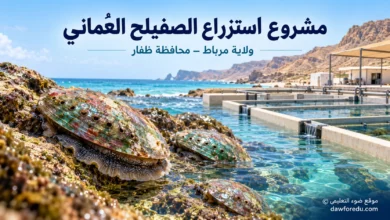 مشروع استزراع الصفيلح العُماني في ولاية مرباط بمحافظة ظفار.