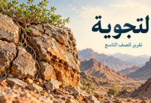 تقرير عن التجوية