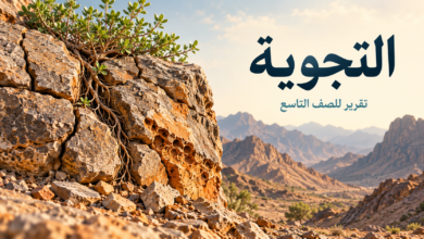 تقرير عن التجوية